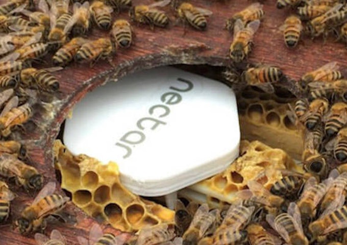 養蜂場の点在する巣箱を遠隔監視し、群を健康に保ち、飼育コストを削減して生産力を向上